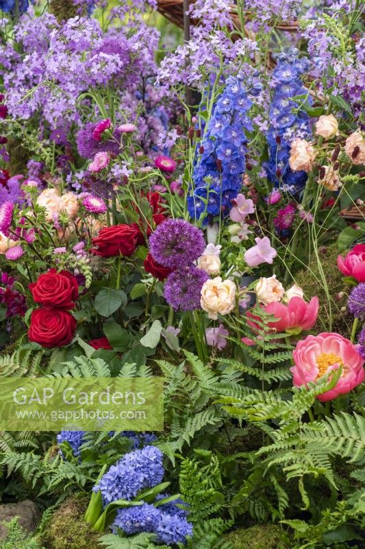 Un jardin créé par des fleuristes utilisant des fleurs coupées populaires telles que des alliums violets, des roses et des delphiniums. 