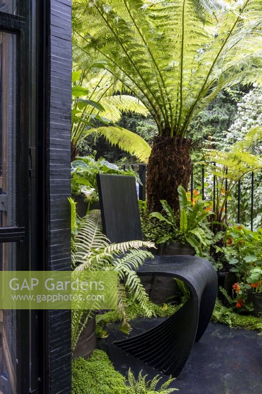 Une chaise de jardin parmi une collection de fougères Dicksonia antarctica sur le balcon du jardin Junglette, conçue par Mike McMahon et Jewlsy Mathews, sponsor : Addleshaw Goddard 
