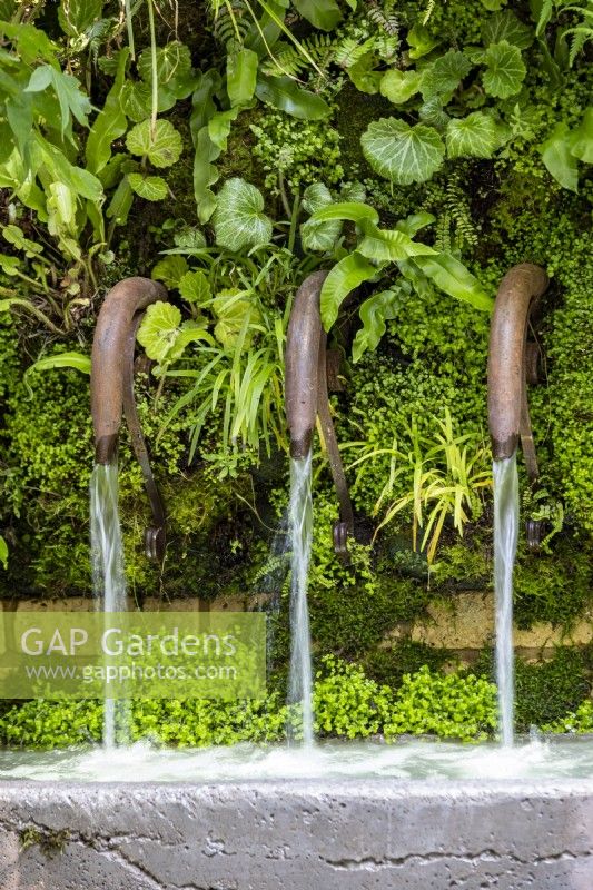 Trois toboggans à eau sur le jardin d'écothérapie : conçus par Tom Bannister 