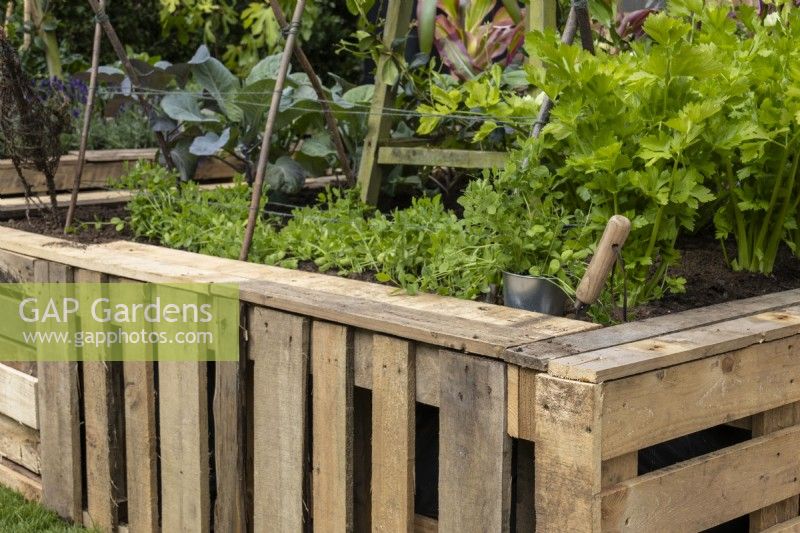Un parterre de fleurs surélevé fabriqué à partir de palettes de bois recyclées et planté de légumes - The Viewer's Garden - designer Pip Probert - BBC Gardeners' World Live 2024 