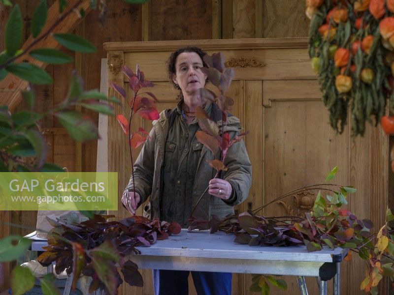 Atelier intérieur de grange. Fleuriste spécialisée dans le feuillage, Zanna Hoskins travaille avec des fruits et des feuilles d'automne récoltés dans son jardin pour les utiliser dans des compositions saisonnières. Novembre, automne, Dorset, Royaume-Uni. 