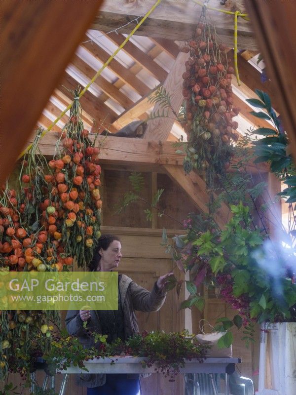 Atelier intérieur de grange où la fleuriste spécialisée dans le feuillage, Zanna Hoskins, vue ici reflétée dans un miroir, travaille avec des fruits d'automne et des feuilles récoltées dans son jardin pour les utiliser dans des compositions saisonnières. Novembre, automne, Dorset, Royaume-Uni. 