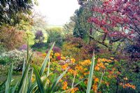 Vue sur le jardin de Bristol Channel à Greencombe Gardens dans le Somerset