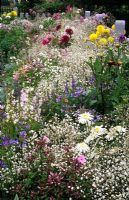 Gypsophylla 'Bistol Fairy' avec des vivaces en parterre de fleurs le long d'une clôture blanche à Hampton Court 1997