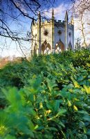 Temple gothique à Painshill à Surrey avec Prunus lusitanica en premier plan