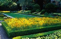 Grand parterre de fleurs formel avec Erysimum 'Filoli Soft Yellow' - Giroflées à Filoli, Woodside, Californie, USA