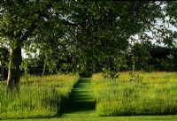Jardin de campagne avec herbes hautes et chemin tondu sous Juglans - Noyer