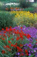 Parterre de fleurs d'été avec vivaces à Bressingham Gardens à Norfolk