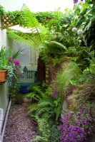 Petit jardin de la ville de Bristol, passage latéral étroit avec des plantes à feuillage et de faux travaux de roche