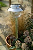 Lampe de jardin solaire en pot avec herbe ornementale et Skimmia
