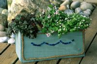 Pot d'été sur le thème de la mer. Auge en bois peint avec Heuchera 'Chocolate Ruffles', Erodium pelargoniiflorum et Bacopa 'Snowflake'