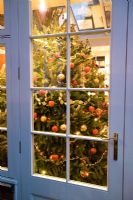 Vue sur l'arbre de Noël à l'intérieur de la maison à travers les portes françaises
