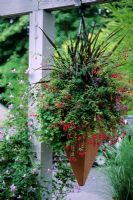 Pot triangulaire avec Fuchsia et Cordyline à Seattle Arboretum, USA.