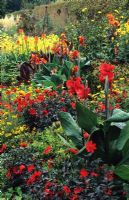 Parterre de fleurs herbacées de couleur chaude Canna 'President', Dahlia 'Tally Ho', Helianthus rigidus et Bidens 'Golden Goddess' à RHS, Wisley à Surrey