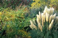 Parterre d'automne avec Cortaderia selloana à Holkham Gardens, Norfolk