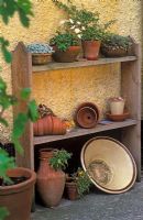 Affichage décoratif de pots en terrocota, certains plantés d'alpins sur des étagères en bois