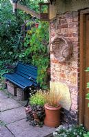 Scène de petit jardin rustique avec siège et pots d'Ajuga, de thymus, d'herbe ornementale. Parthenocissus tricuspidata poussant autour du banc.