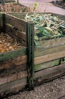 Bacs à compost en bois, un pour le compost général et un pour la moisissure des feuilles