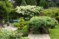 Patio avec des plantes établies dans le jardin de Cypress House à Dalton