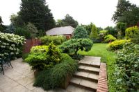 Jardin de banlieue avec terrasse, marches et conifères à Cypress House à Dalton