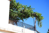 Verrière sur balcon de Vitis - Vigne en Grèce