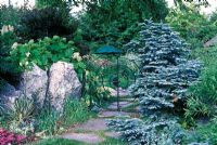 Abies procera 'Glauca Prostrata' contre la porte à Ellen Mcfarlands Garden, Massachusetts, USA.
