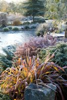 Surplombant l'étang gelé du jardin de John Massey un matin d'hiver glacial. Phormium 'bouffon' au premier plan.