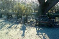 La lumière du soleil jette des ombres sur un matin glacial en hiver. Sculptures de cerfs noisetiers tissés et banc en bois