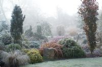 Un matin brumeux froid près de l'étang dans le jardin de John Massey. La forme colonnaire de Fagus sylvatica 'Dawyck' (Hêtre) à droite. Phormium 'Jester' aux conifères et herbes