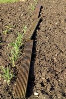 Planches rampantes utilisées pour permettre l'accès aux plantes lorsque le sol est humide