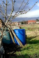 Fûts en plastique bleu recyclés pour le stockage de l'eau sur un potager - vue d'hiver