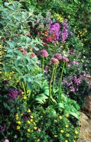 Jardin des papillons et de la faune avec Allium elatum, Heliotrope et Sweet Rocket à RHS Chelsea FS
