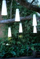 Lumières pendantes suspendues à une branche d'arbre