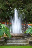 La fontaine des chérubins avec Colacasia antiquorum à Villa Taranto, Pallanza, Lac Majeur, Italie