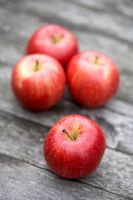 Malus 'Braeburn' - Pommes