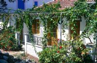Façade de la maison avec de la vigne grimpant sur le cadre de la pergola le long de la façade à Céphalonie, Grèce, août