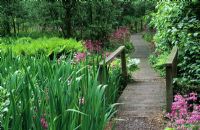 Jardins aquatiques de Fairhaven, Norfolk - Pont en bois rustique avec primevère, fougères et iris