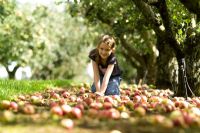 Fille jouant avec des pommes exceptionnelles - Malus 'Worcester Pearmain'