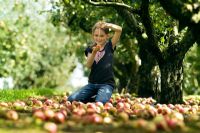 Fille jouant avec des pommes exceptionnelles - Malus 'Worcester Pearmain'