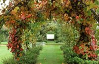 Le tunnel de vigne dans le jardin édouardien du château de Powis