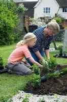 Femme et fille plantant de jeunes plantes en boîte dans un nouveau jardin parterre - Pannells Ash Farm, Essex