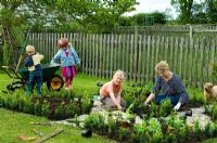 Femme et enfants plantant de jeunes plantes en boîte dans un nouveau jardin parterre - Pannells Ash Farm, Essex - Pannells Ash Farm, Essex