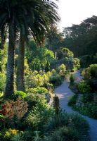 Aperçu du chemin à travers le célèbre jardin subtropical ouvert au public - Abbey Gardens, Tresco, Scilly Isles