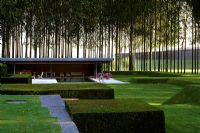 Jardin moderne avec des formes de terrain couvertes d'herbe et Populus - Peupliers. Pool house au-delà