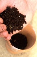 Planter des graines simples en pot - Remplir le pot de compost