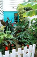 Plantation de pots tropicaux dans un minuscule passage menant à la porte d'entrée