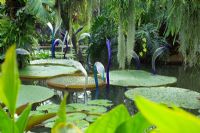 'Blue Herons 'au Conservatoire de la Princesse de Galles, Royal Botanic Garden Kew - Jardins de Verre - Chihuly à Kew 2005-2006 - Art du verre soufflé flamboyant par l'artiste verrier américain Dale Chihuly
