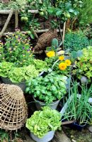Fleurs, fruits et légumes de style jardin dans des pots rustiques. Laitue 'Tom Thumb' dans une vieille casserole, basilic sucré dans un seau, oignons, Viola tricolor, Calendula et choux de Bruxelles violets