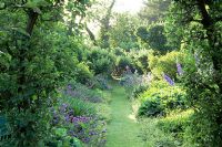 Pommier ancien - Malus sous-plantés d'hostas, de géraniums, d'Astnatie et d'Anchusa 'Feltham Pride' au Cranborne Manor Garden