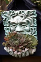 Petit masque facial de l'homme vert fixé au pignon d'un pigeonnier en bois et planté de Sempervivum résistant à la sécheresse